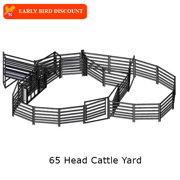 65-head-cattle-yard