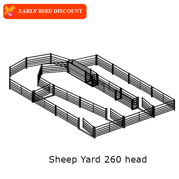 sheep-yard-260-head-2