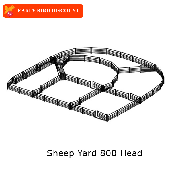 sheep-yard-800-head-2